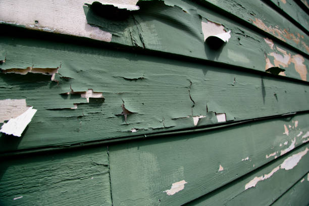 Best Custom Siding Design  in Gulfport, MS